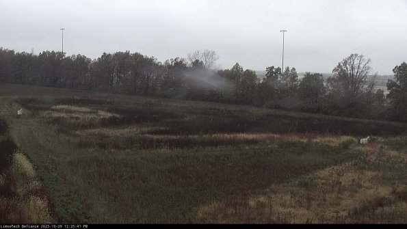 Cell 2_23-10-29_12-25-41-83