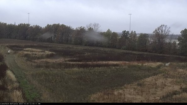 Cell 2_23-10-29_12-59-11-78