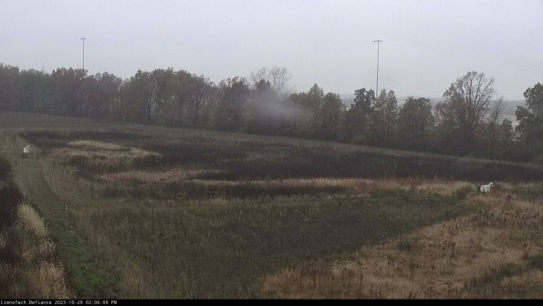 Cell 2_23-10-29_14-06-09-81