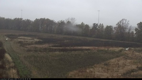 Cell 2_23-10-29_14-39-39-79