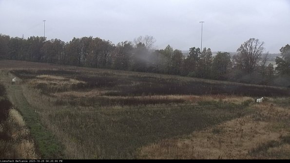 Cell 2_23-10-29_16-20-06-80