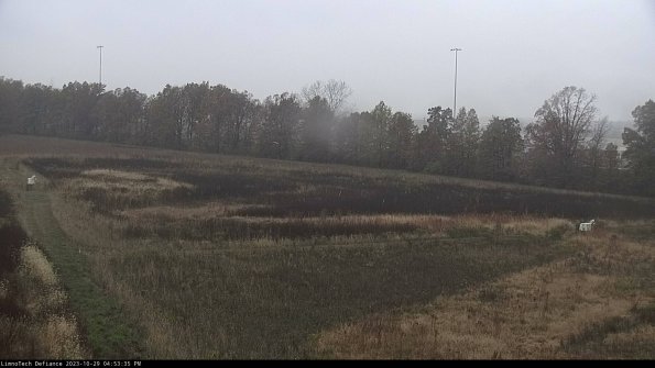 Cell 2_23-10-29_16-53-35-88