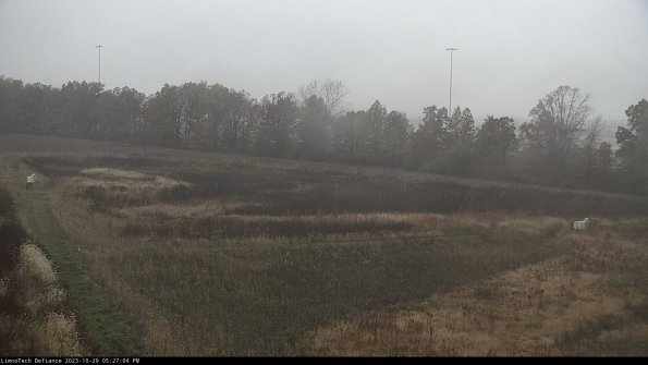 Cell 2_23-10-29_17-27-04-80