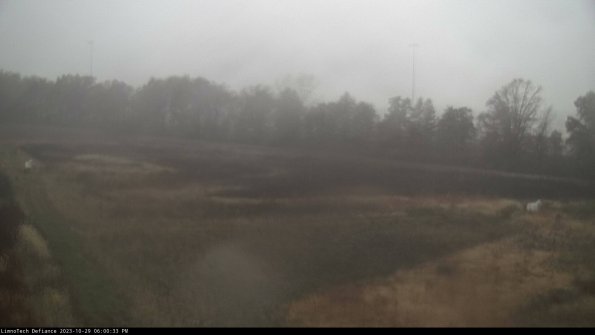 Cell 2_23-10-29_18-00-33-82