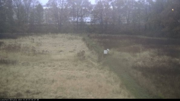 Cell 3 to 4_23-10-29_07-58-27-79