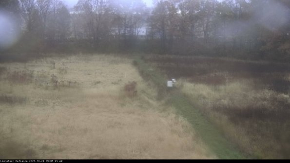 Cell 3 to 4_23-10-29_09-05-25-78