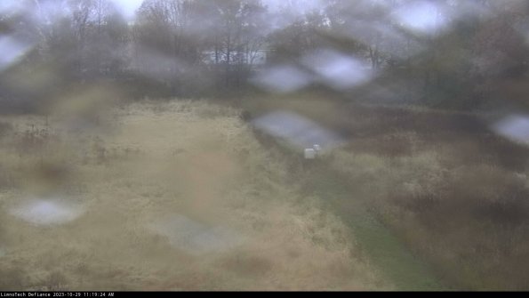 Cell 3 to 4_23-10-29_11-19-24-77