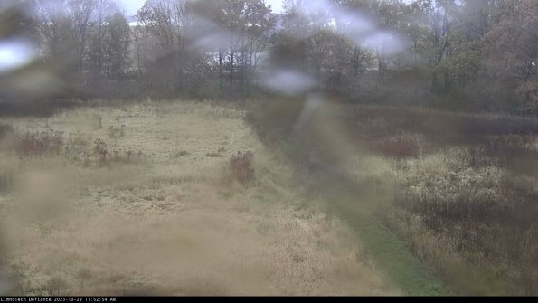 Cell 3 to 4_23-10-29_11-52-54-79