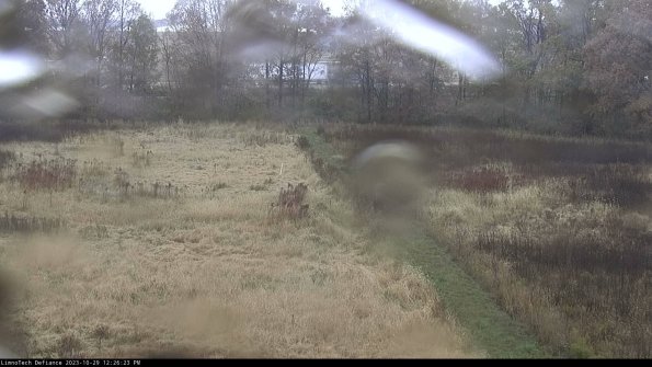 Cell 3 to 4_23-10-29_12-26-23-77