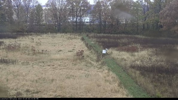 Cell 3 to 4_23-10-29_15-13-49-78