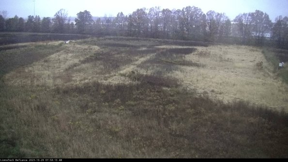 Cell 3_23-10-29_07-58-14-01