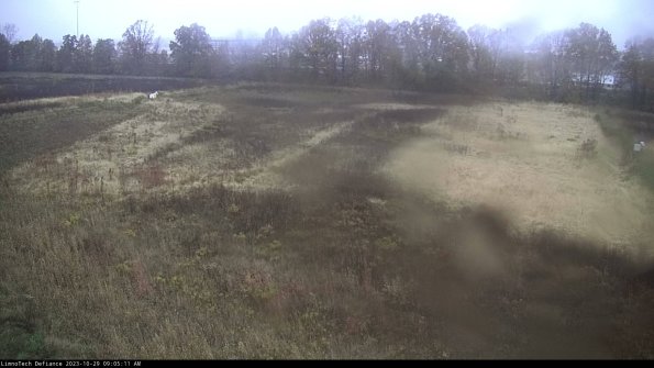 Cell 3_23-10-29_09-05-11-77