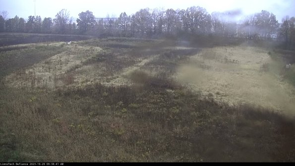 Cell 3_23-10-29_09-38-41-78