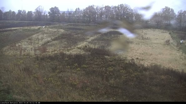 Cell 3_23-10-29_10-12-10-76