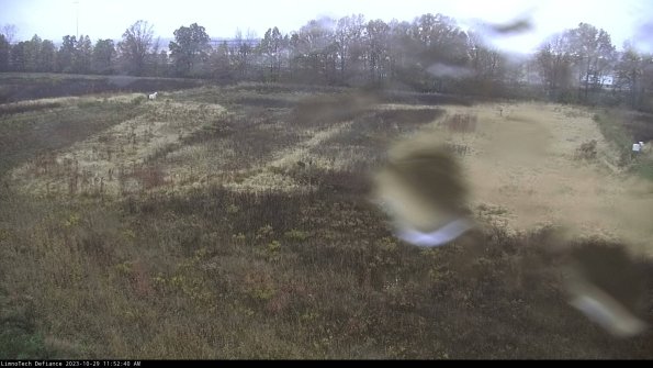 Cell 3_23-10-29_11-52-40-77