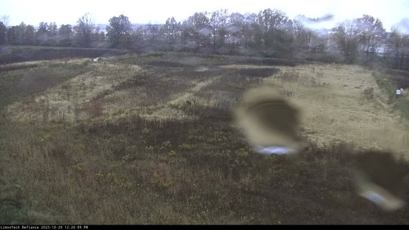 Cell 3_23-10-29_12-26-09-79