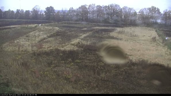 Cell 3_23-10-29_14-06-37-80