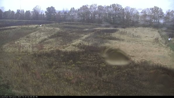 Cell 3_23-10-29_14-40-07-05