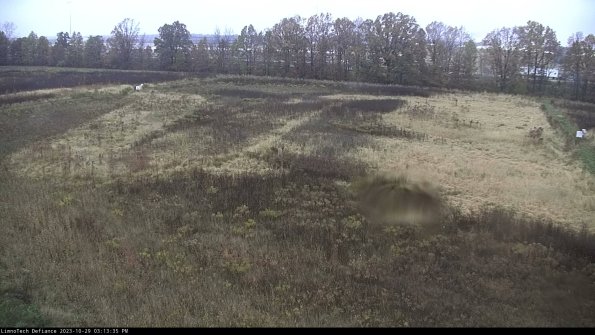 Cell 3_23-10-29_15-13-35-76