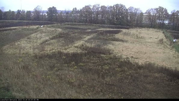 Cell 3_23-10-29_15-47-05-78