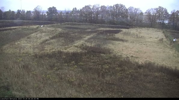 Cell 3_23-10-29_16-20-34-76