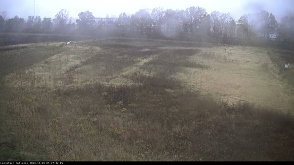 Cell 3_23-10-29_17-27-32-79