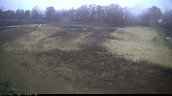 Cell 3_23-10-29_18-34-31-79