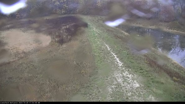 Cell 4 to Basin_23-10-29_11-53-38-76