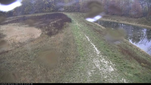 Cell 4 to Basin_23-10-29_12-27-07-78