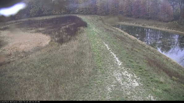 Cell 4 to Basin_23-10-29_15-14-33-79