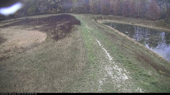 Cell 4 to Basin_23-10-29_15-48-03-81