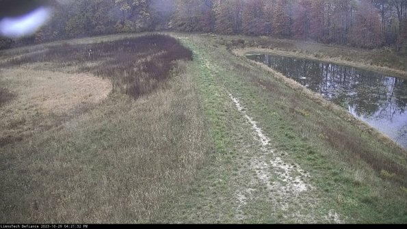 Cell 4 to Basin_23-10-29_16-21-32-79