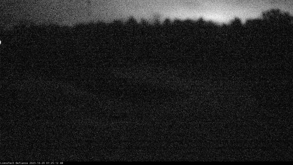 Cell 4_23-10-29_07-25-12-79