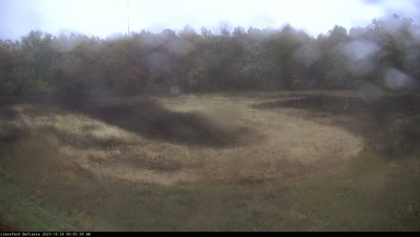 Cell 4_23-10-29_09-05-39-79