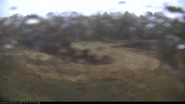 Cell 4_23-10-29_10-12-38-79