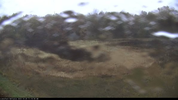 Cell 4_23-10-29_11-19-38-79