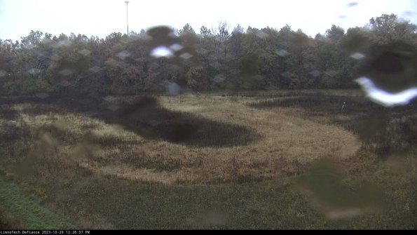 Cell 4_23-10-29_12-26-37-78