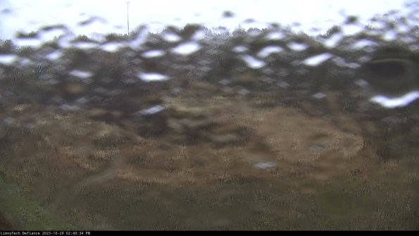 Cell 4_23-10-29_14-40-34-78