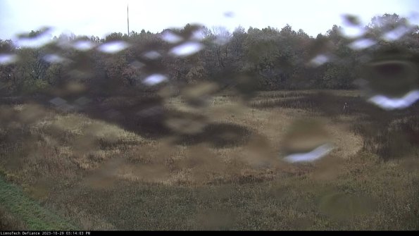 Cell 4_23-10-29_15-14-03-79