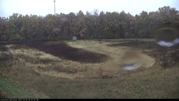 Cell 4_23-10-29_15-47-33-78