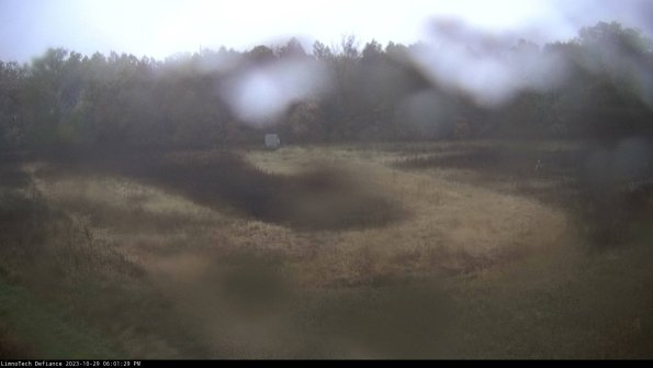 Cell 4_23-10-29_18-01-29-77