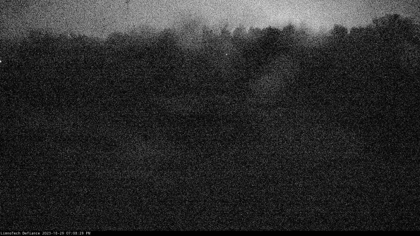 Cell 4_23-10-29_19-08-29-77