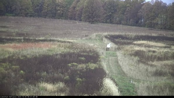 Cell 1 to 2_23-10-30_08-31-08-75