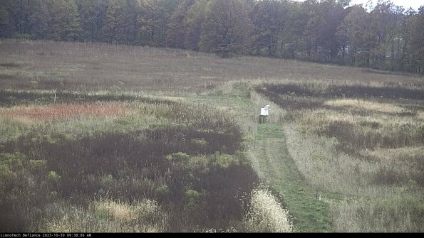 Cell 1 to 2_23-10-30_09-38-06-78