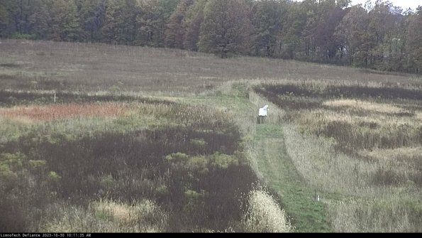 Cell 1 to 2_23-10-30_10-11-35-76