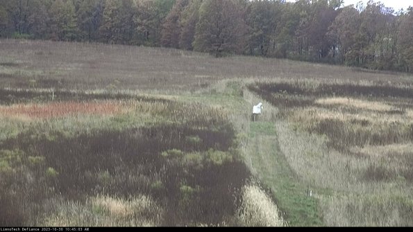 Cell 1 to 2_23-10-30_10-45-03-77