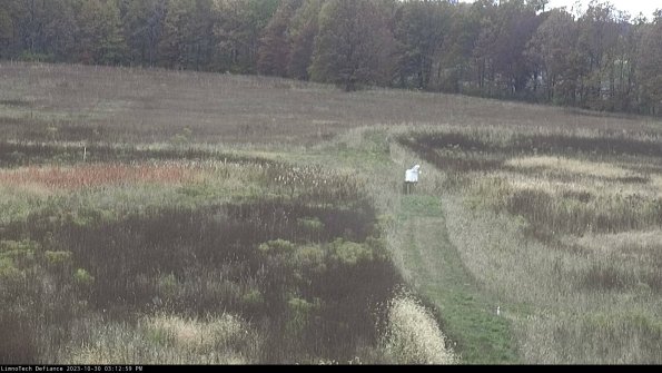 Cell 1 to 2_23-10-30_15-12-59-77