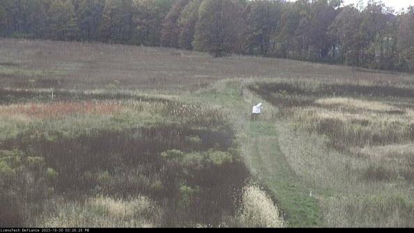 Cell 1 to 2_23-10-30_15-26-20-80