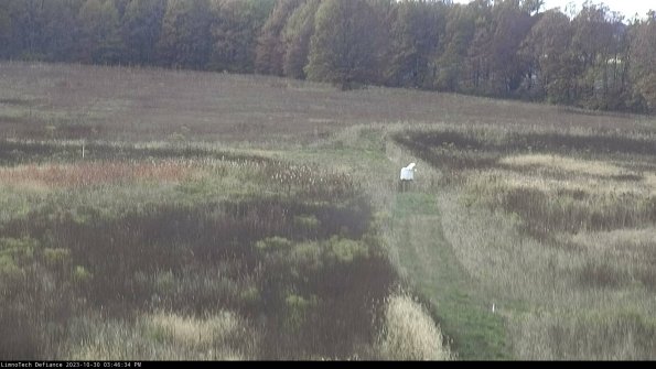 Cell 1 to 2_23-10-30_15-46-34-79