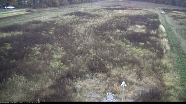 Cell 1_23-10-30_07-57-24-79